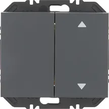Berker Modul Wippe 2f 24127306