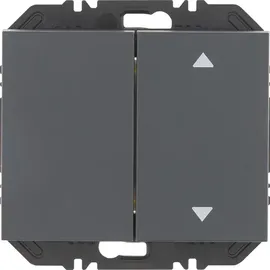 Berker Modul Wippe 2f 24127306