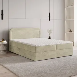 masseno Boxbett 160 x 200 cm Gelb