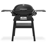WEBER Q 2200N