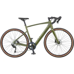 Prophete Graveler 1.0 Gravel E-Bike 28 Zoll 17kg