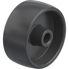 Blickle POA 65/10G 100 kg