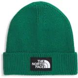 CAPPELLO THE NORTH FACE NF0A8CHENL11 TNF LOGO BOX EVERGR - Einheitsgröße
