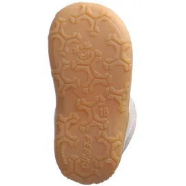 Pepino Cory grau 19