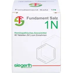 FUNDAMENT-Salz I N Tabletten 80 St.
