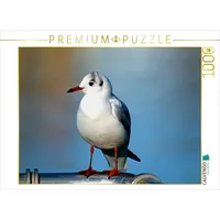 Calvendo Möwen Pick Puzzle