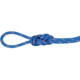 Mammut Alpine Sender Dry Halbseil Blau/Orange