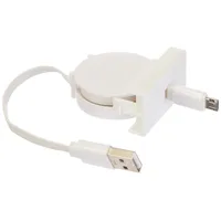 DeLock Easy 45 Modul USB 2.0 Ausrollkabel USB Typ-A