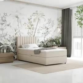 Homesy Everest 100 x 200 cm H3 Beige