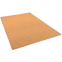 Snapstyle Sisal Natur Teppich Klassisch Braun 100x200 cm