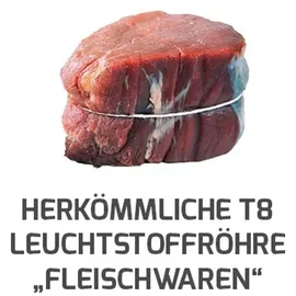dotlux LED-Röhre LUMENPLUS 1730-1 10 W Fleischfarbe 90 cm 1 St.