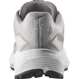 Salomon Aero Flow GRVL Damen Weiß / Silber 39
