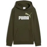 Puma Hoodie Dark Olive 140