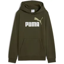 Puma Hoodie Dark Olive 140
