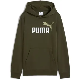 Puma Hoodie Dark Olive 140