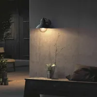 Philips Außenwandleuchte Aluminium, Glas 29,0 cm inkl. E27 LED-Lampe schwarz