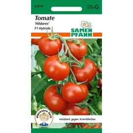 Samen Pfann Freilandtomate Hildares F1 | Buschtomatensamen von Samen Pfann