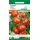 Samen Pfann Freilandtomate Hildares F1 | Buschtomatensamen von Samen Pfann