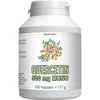 Quercetin 500 mg Mono Kapseln 180 St.