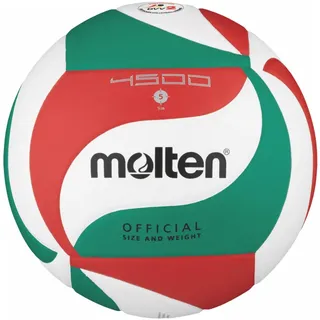 Molten Volleyball