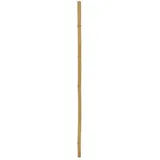 Europalms Bambusrohr, Ø=5cm, 200cm