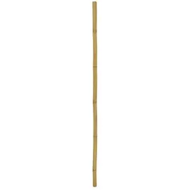Europalms Bambusrohr, Ø=5cm, 200cm