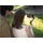 DJI Osmo Mobile 8 Advanced Tracking Combo