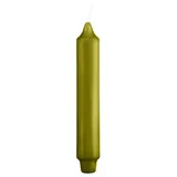 Stabkerzen Scottish Green 250 x 30 mm 12 St.