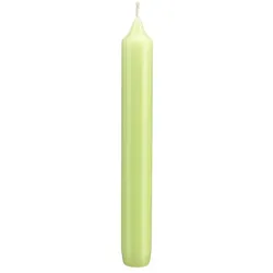 Kopschitz Kerzen Kerzen Leuchterkerzen Kiwi, 250 x 25 mm, 12 Stück