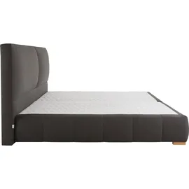 Home Affaire »Wehma« inkl. Topper in 3 verschiedenen Matratzen, auch in Samtstoff grau