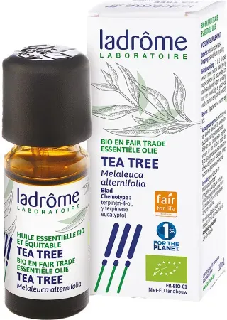 Ladrôme Teebaum Ätherisches Öl Flakon 10ml