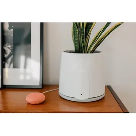 vitesy Natede Smart Natürlicher Luftreiniger Grün