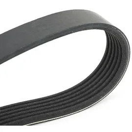SKF Keilrippenriemensatz