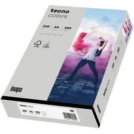 Inapa tecno Colors A4 160 g/m2 250 Blatt