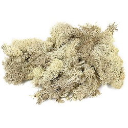 Islandmoos, natur, 250 g