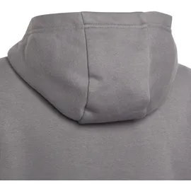 adidas Hoodie Grau 152