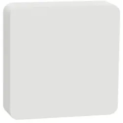 Schneider Electric CCT593012 Wiser Temp.-/Luftfeuchtigkeitssensor