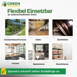 green guardia Ameisen Falle mit Spezial-Lockstoff 3 x 3 St.