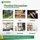 green guardia Ameisen Falle mit Spezial-Lockstoff 3 x 3 St.