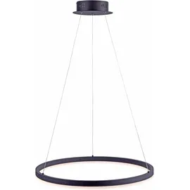 Paul Neuhaus TITUS 1-flg. 38,5W Ø 60 cm rund/grau