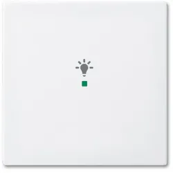 Busch-Jaeger 6231-10-914 Wippe 1-fach, mit Symbol "Licht"