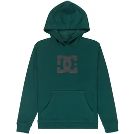 DC Shoes DC Star Green 158