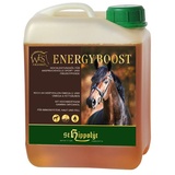 St. Hippolyt WES Energy Boost 5 l