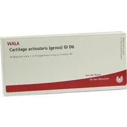 CARTILAGO articularis genus GL D 6 Ampullen 10 ml