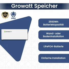 epp solar Epp 6000W Solaranlage komplettset mit Speicher 3000W Wechselrichter Stromwächter