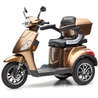 Econelo E-Trike J1000 25 km/h braun