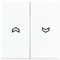 Jung Wippe Symbole champ A 595 P CH A595PCH