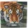 Craft Buddy Ltd. Crystal Art Tiger Diamond Painting 18 cm x 18 cm