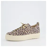 Paul Green Sneaker Damen Beige 37,5