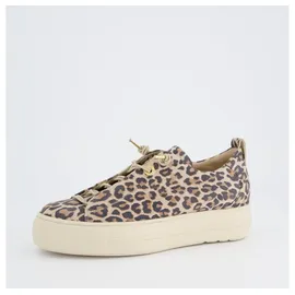 Paul Green Sneaker Damen Beige 37,5
